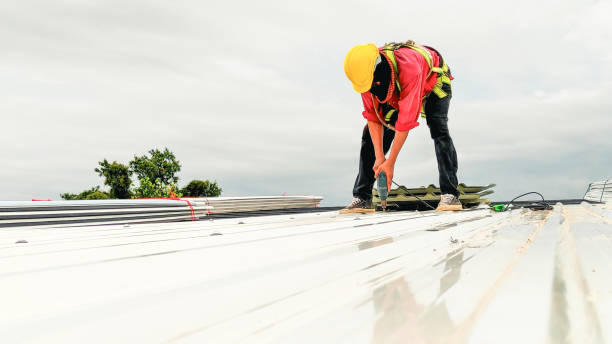 Best Steel Roofing  in Levelland, TX