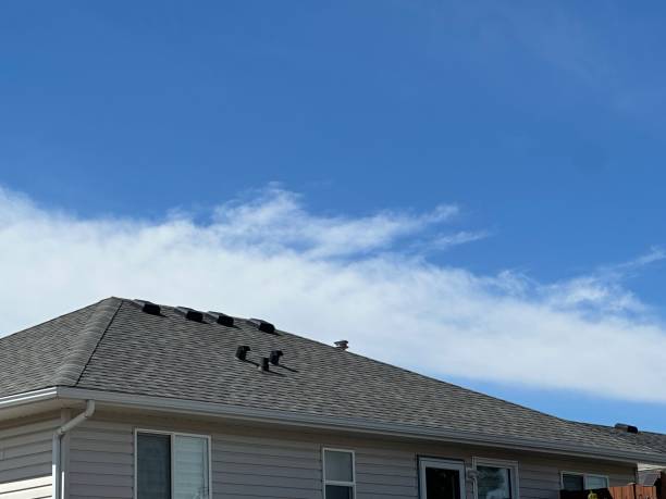 Best Roof Maintenance and Cleaning  in Levelland, TX